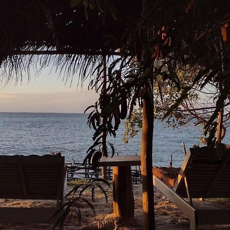 Oceano Atins Hotell Eksteriør bilde